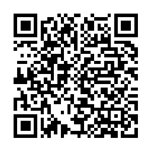 vhs Newsletter Anmeldung qr code