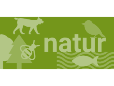 Verhaltensregeln bei einer Begegnung mit einem Wolf