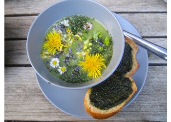 grüne Frühlingssuppe und Brennnesselpesto